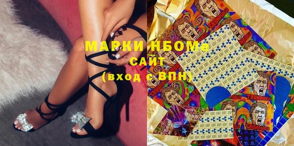индика Алексин