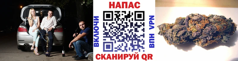 Марихуана Amnesia  где можно купить наркотик  Красновишерск 